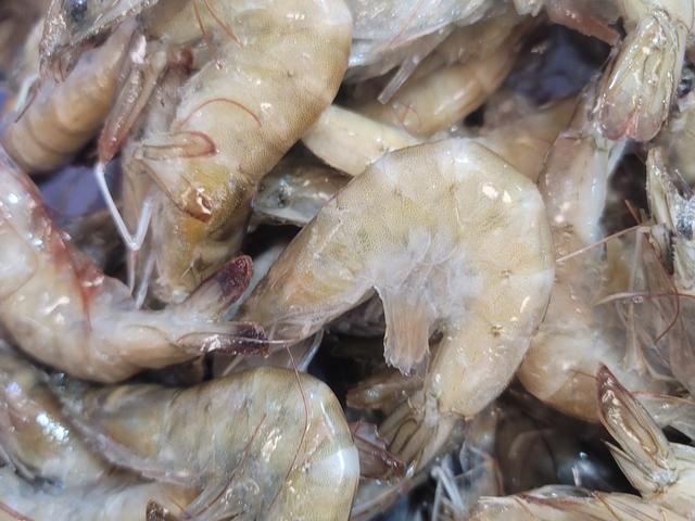 흰다리 새우 1Kg