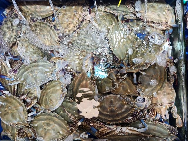 꽃게 1kg