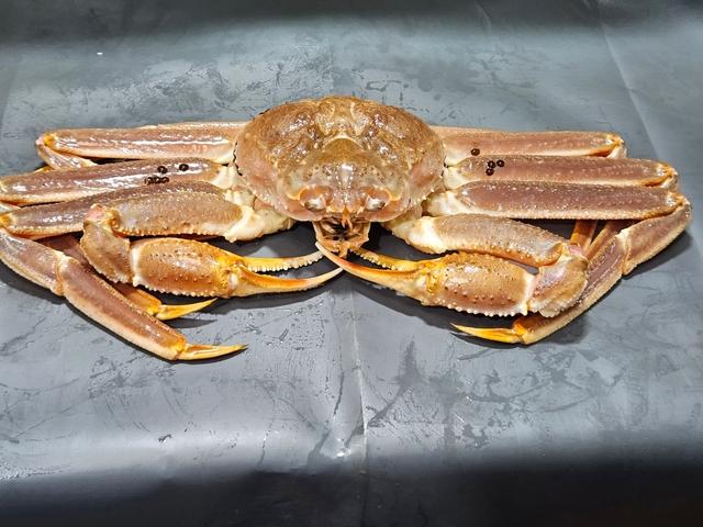 대게