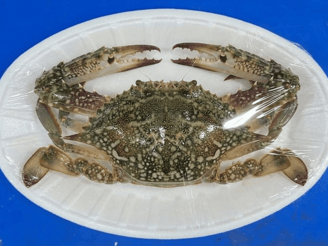 꽃게 1Kg