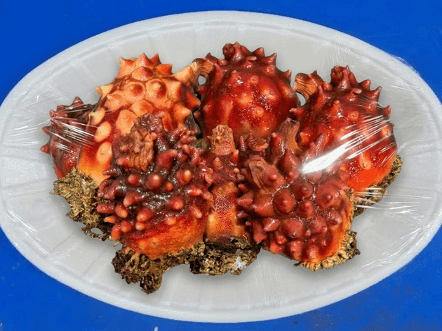 자연산 멍게 1Kg