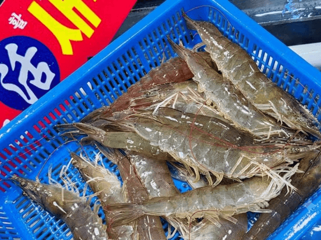활새우 1kg