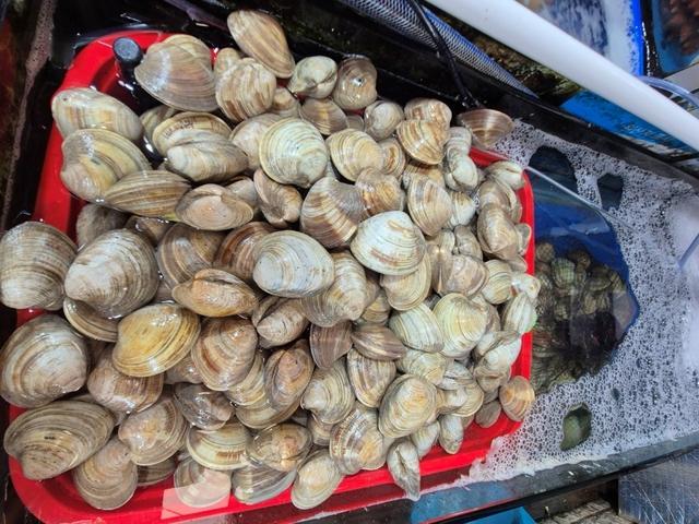 백생합 1kg