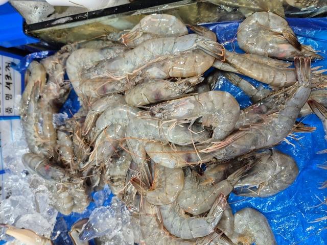 새우 1kg