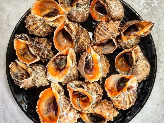 소라