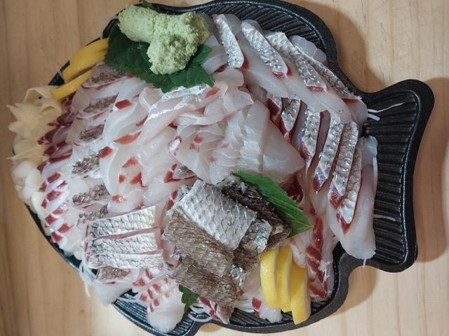 참돔회